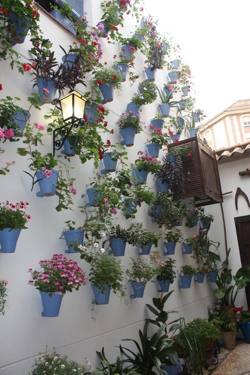 La Posada Del Infante La Puebla de los Infantes Eksteriør bilde